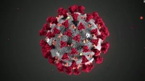 COVID-19 Pandemic Resources